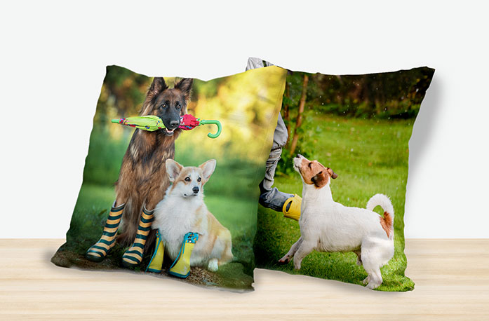 photo cushions for pet