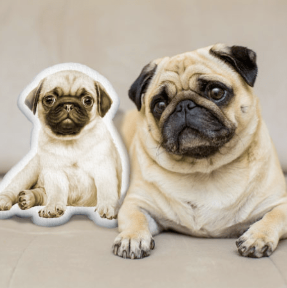 Get in love with your custom pet shaped pillow